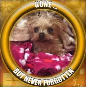 Meet your Posher, Roberta